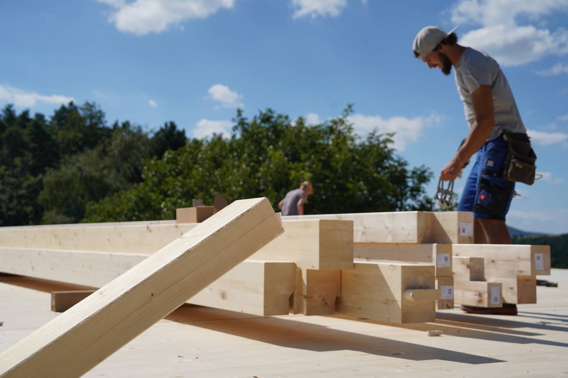 Fachvortrag Holzbau